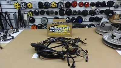 Оригинальный жгут проводов Tigershark 3008-579 1999 Tigershark TS1100LI TS 1100 LI - Изображение 1 из 4