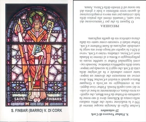 RARO SANTINO DI S. FINBAR(BARRO) V.DI CORK -N.4762 - Foto 1 di 1