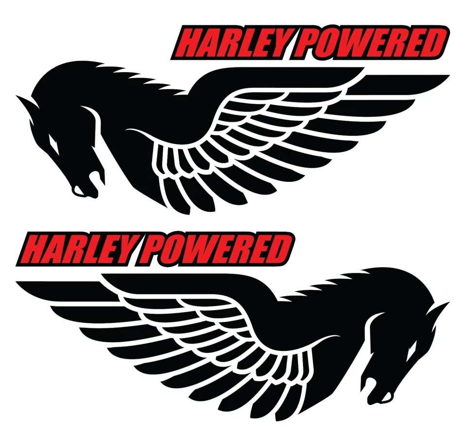 Calcomanías Buell Pegasus. 7”. Negro/Rojo. O elige tus colores. Foto 1 de 1