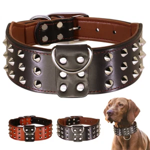 Rivet Studded Pet Dog Collar Genuine Leather with D-Ring 5cm Wide Boxer Pitbull - Picture 1 of 20