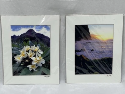 Fotos artísticas fotográficas Kilahuea Hawaii 2 flores Scott Hanft océano 11 X 14 años 2000 Foto 1 de 4