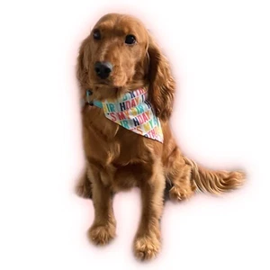 It’s my Birthday Dog Bandana Neckerchief Neck Tie Scarf Slip On Collar - Picture 1 of 6