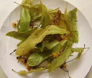 Lindenblüten Bio Das 30 Gr - Bild 1 von 1