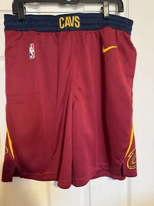 Nike Dri-FIT Men's Large Cleveland Cavaliers NBA Team Issued Basketball Shorts - Picture 1 of 8