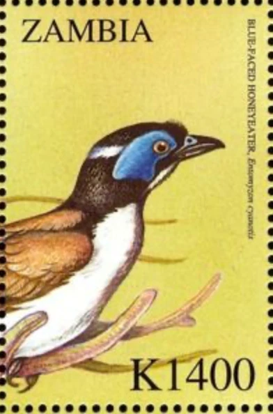 Zambia #Mi1236 MNH 2000 Birds Blue Faced Honeyeater [900d] - Image 1 of 1