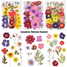 Dried Flowers Pressed Scrapbook Bookmark Card Making Diy Art Craft Decor Supply