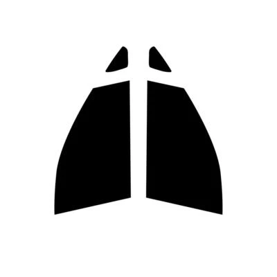 Tinte precortado para ventana de coche para Kia Rondo 2007-13 ventana delantera coche película tintado Foto 1 de 4