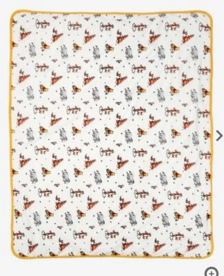 Manta de recepción exclusiva de personajes de WINNIE THE POOH de Disney  Foto 1 de 4