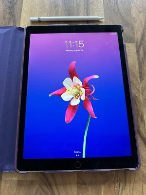 Apple iPad Pro 2nd Gen. 64GB, Wi-Fi, Apple Pencil 12.9in Gray - Image 1 of 4