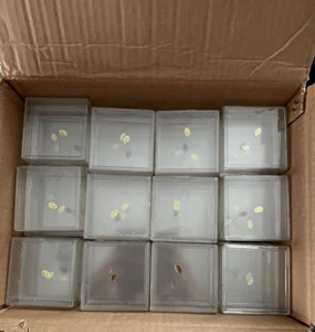 Case of 60 Hockey Puck Cube Holder 2 Piece Snap Design Case Factory Sealed - Picture 1 of 6
