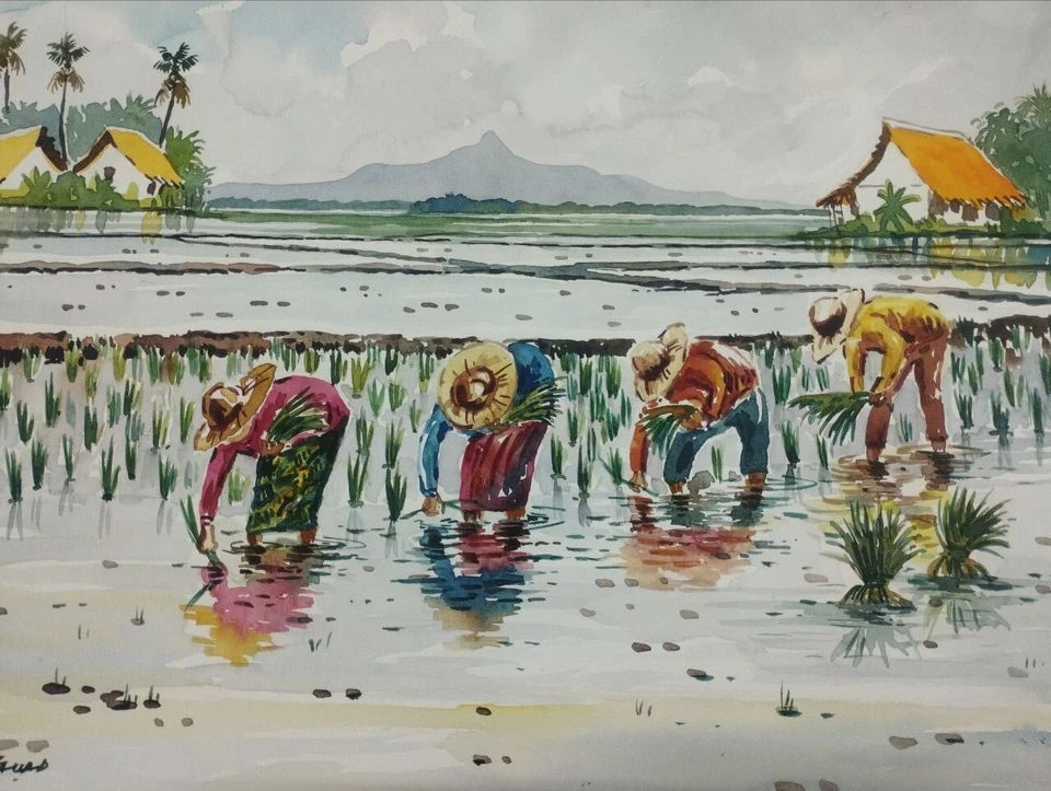 Original Watercolor Painting of Paddy Field Harvest | A3 Size | By Fauad Ibrahim - Image 1 of 1