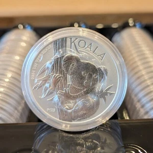 🐨 GEM BU 2024 AUSTRALIA 1 OZ OUNCE SILVER KOALA COIN with CAPSULE - IN STOCK! - Picture 1 of 7