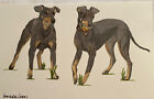 Manchester Terriers Pair Standing Original Watercolor painting  By Sandra Coen