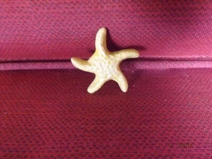 Wade Whimsies, Estrella de Mar Amarilla Serie Náutica - Imagen 1 de 2