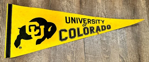 1990 Colorado Buffaloes Full Size 11.5 in X 30 in Football Pennant CU Buffs Cover