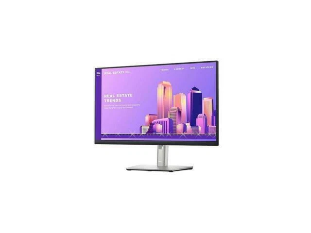 Dell P2422H 24 inch Widescreen Full HD Monitor