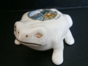 Crested China Toad- LARGS - Picture 1 of 4