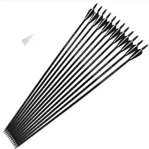 Arrow 28"/30"/32" Archery Arrows Spine500 Changeable Arrowheads Plastic - Bild 1 von 30