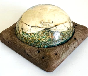 Calico Box Crab With Seashell Bits In Resin On Cedar Wood Base - Picture 1 of 8