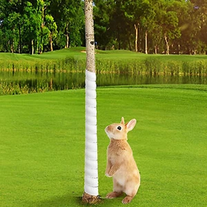 Tree Guards Trunk Protector Spiral Tree Guard Tube Wraps Plant Guard agreeable - Picture 1 of 9
