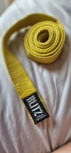 Yellow 250 cm Blitz Sports Lightweight Karate Belt Karate Judo Rank Colour Belt - Picture 1 of 2