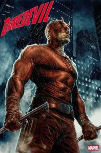 Daredevil #25 Lee Bermejo Variant - Picture 1 of 1