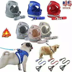 Small Dog Pet Puppy Harness And Leash Set Breathable Mesh Vest Chest Strap XS-XL - Picture 1 of 22