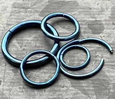 1pc Hinged Segment Ring Septum Clicker Hoop PVD over 316L Surgical Steel  - Image 1 of 3