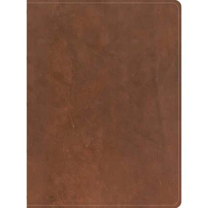 CSB Men's Daily Bible, Brown Genuine Leather - Picture 1 of 1