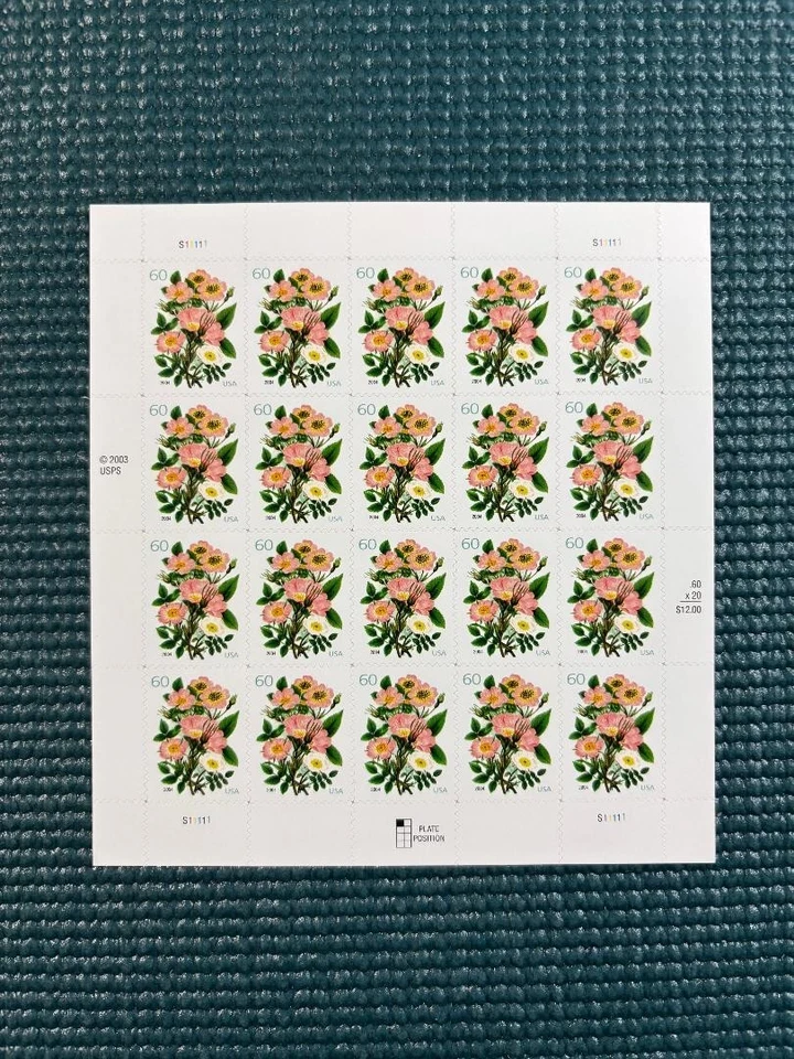 Scott #3837: Cinco variedades de rosas rosadas MNH hoja de 20. Foto 1 de 1