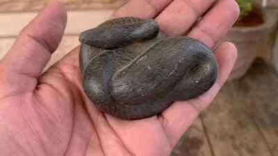 Colecionáveis raros vintage esculpidos à mão preto uma pedra deus hindu Senhor Shiva cobra - Imagem 1 de 4