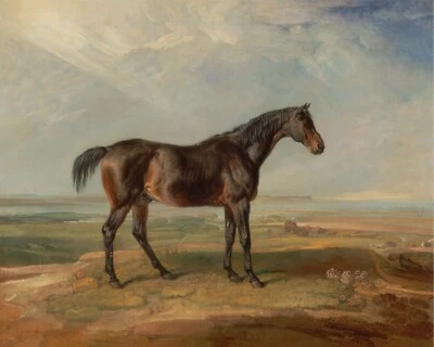 Reproducción de pintura de caballo de bahía de 1800 impresión de giclee en papel de bellas artes Foto 1 de 4