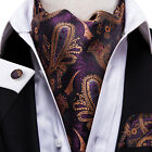 Mens Silk Paisley Solid GeometricAscot Cravat Vintage Scarf Blue Red White Gold 