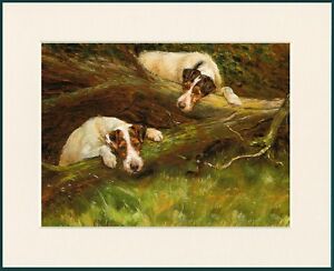 WIRE FOX TERRIER TWO DOGS PLAY IN TREE GREAT DOG PRINT MOUNTED READY TO FRAME