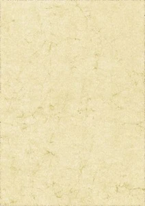 Elefantenhaut A4 110g chamois, 100 St. - Bild 1 von 1
