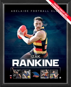 Izak Rankine Adelaide Crows 2023 Official AFL Sportsprint Framed - 5484 - Bild 1 von 1
