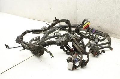 Harley Davidson Dyna FLD 2014 Switchback cableado principal a granel arnés cables 12-15 Foto 1 de 4