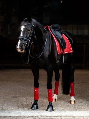 P.S. Швеции красный/золотой звездной пыли подушечка полный выездки - Изображение 1 из 4