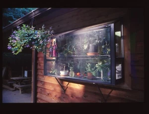 Vintage 35mm Photo Slide Window Greenhouse - Picture 1 of 1