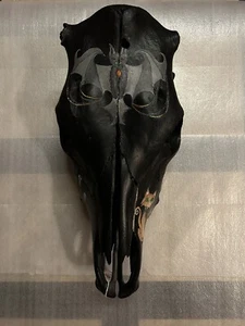 Calavera de vaca pintada a mano - tema de Halloween/espeluznante - Imagen 1 de 5