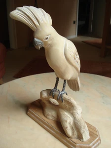 wunderschöner großer Vogel/ Kakadu Holz auf Wurzel handgeschnitzt Magnolie Deko - Bild 1 von 8
