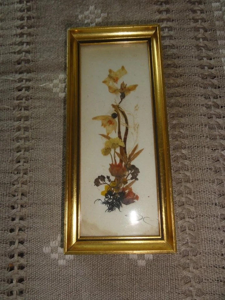 Marco de madera miniatura acabado dorado herbario Edelweiss y flores secas Austria Foto 1 de 1