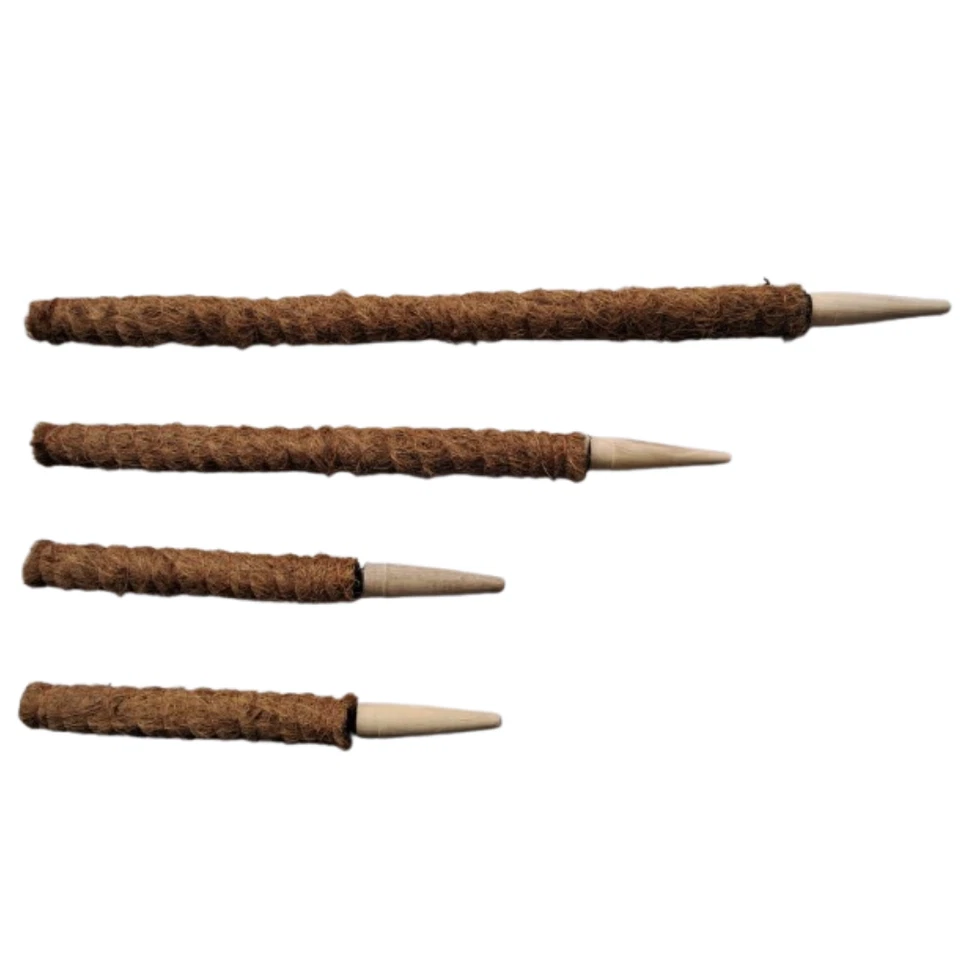 HAAY TOOLS Coir Plant Climbing Coco Stands Indoor Support for Totem, Monstera & Cheese Pole