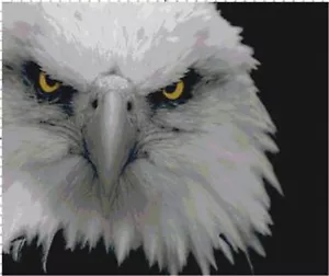 Tabella punti ago modello punto croce contato uccellino animale fatto a mano aquila - Foto 1 di 1