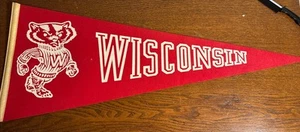 Vintage Wisconsin Badgers Pennant (Approx 12"x29.5") Circa 1970's - Picture 1 of 6