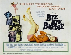 BYE BYE BIRDIE MOVIE POSTER Ann Margret VINTAGE 3 Sizes - Picture 1 of 1