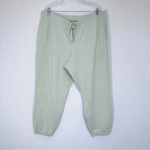 Madewell Petite Superbrushed Easygoing Sweatpants Light Green Loungewear PXXL - Picture 1 of 8