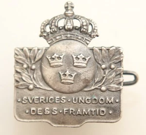 Insignia de Suecia Juventud para el Futuro Unión Sveriges Ungdom Dess Framtid - Imagen 1 de 3
