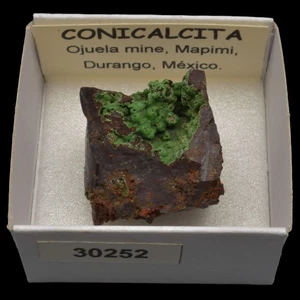 CONICALCITA (Mina Ojuela, Mapimi, Mexico) #30252 / Conichalcite - Imagen 1 de 1