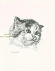 #222 KITTEN PORTRAIT *  cat art print  *  pen & ink drawing by Jan Jellins - Picture 1 of 1